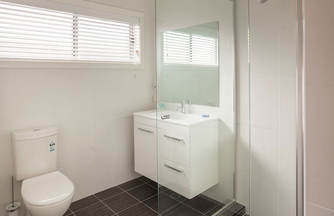 Hamilton on Everton - Foto 15