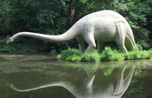 Zum Hecht, FeWo Spitzberg - Foto 78