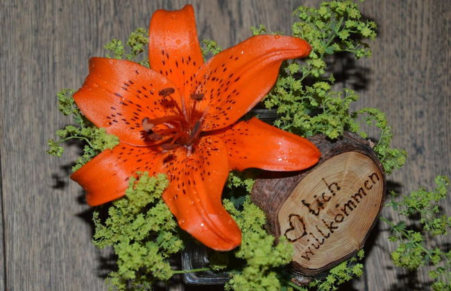 Schnatterhof - Photo 33