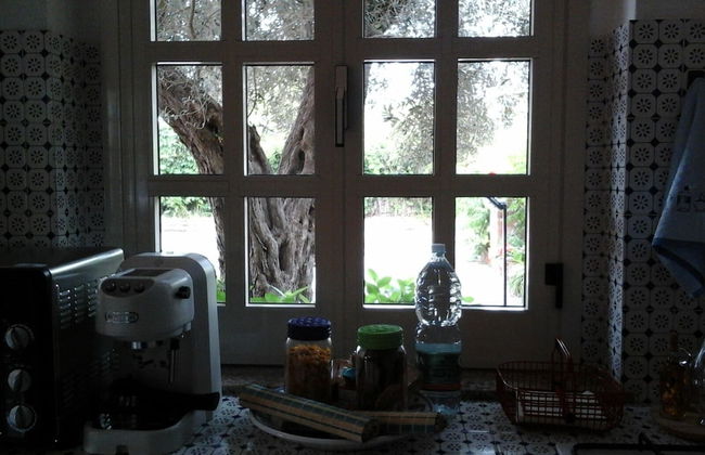 Il Giardino sul Mare - Foto 20