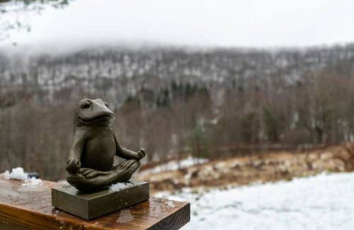 Breathtaking views. Hot tub. Huge Deck. Fast Wifi - Foto 41