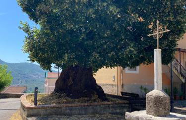 Gauro casa vacanze - Foto 74