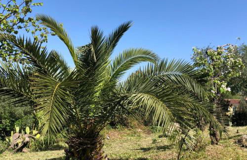 Casa Sofia - Foto 39