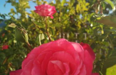 Hacienda el Mirador - Foto 12