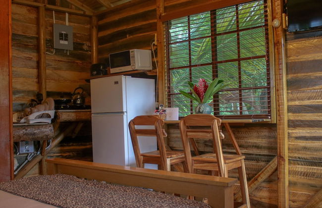 The Blue Mahoe Treehouse - Photo 12