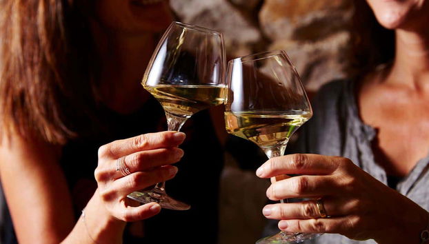 Dégustation du vin de Sylvie Fahrer et Fils