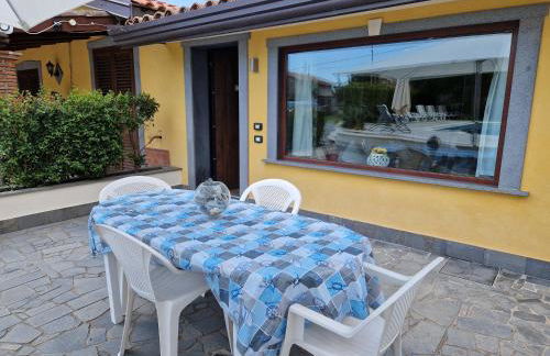 La rosa dell'Etna - Foto 32