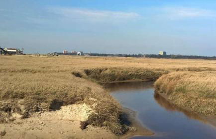 Ferienwohnung Nr. 25 - Foto 16