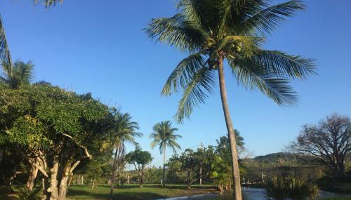 Blue Marlin Resort&Spa - Foto 2