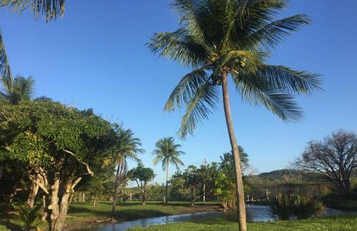 Blue Marlin Resort&Spa - Foto 2