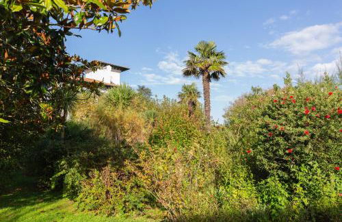 Domaine de Bordaberry - Jardin & superbe piscine - Foto 60