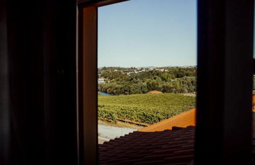 Quinta das Areias - Solar da Pena - Foto 64