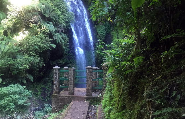 Parque nacional de la Montaña de Ámbar - Foto 1