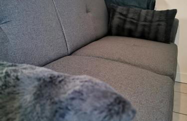 Charmant appartement à 1 minute du lac - Foto 49