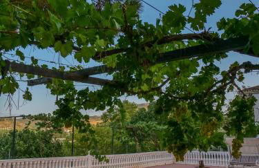 Villa Ricardo - Foto 1