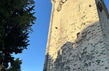 Charmante PETITE MAISON avec vue panoramique, en centre historique, proche d'Avignon, ancienne, rénovée, climatisée, terrasse, parking public gratuit - Foto 29