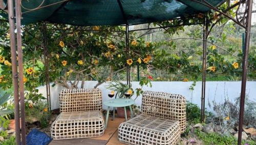 Villa GALVANA - Foto 4, Garden