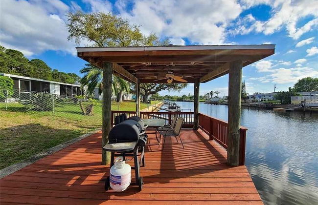 Enjoy Sunset with Dolphin and Manatee - Photo 19