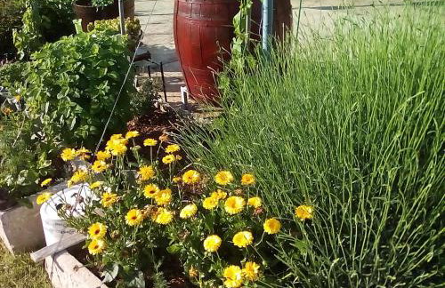 Apartman Rosa - Foto 30