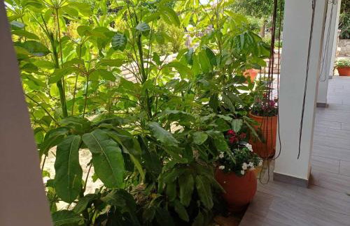 Aggelikis house - Foto 19