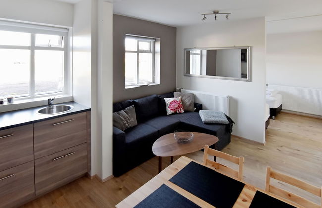 Breidamyri Farm Apartments - Foto 16