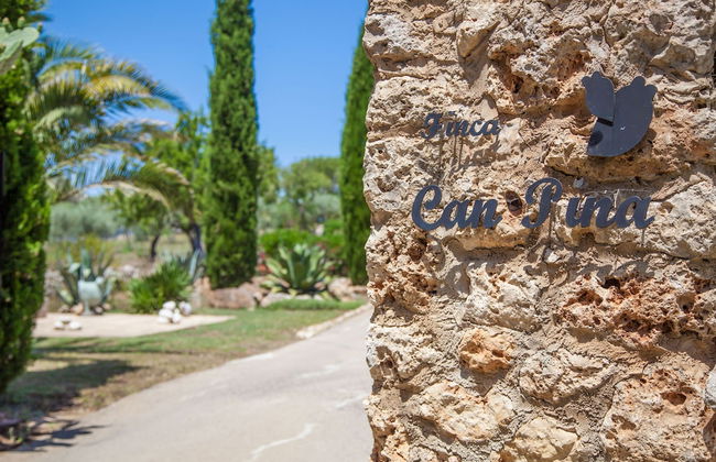 Can Pina - Adults Only Eco Groc - Photo 24