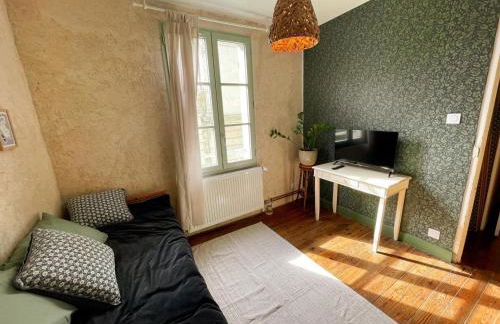 Gîte XIXè de charme à Candes-St-Martin avec jardin clos - FR-1-381-612 - Foto 16