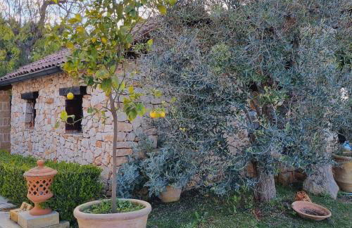 Villa CICIA - Foto 31