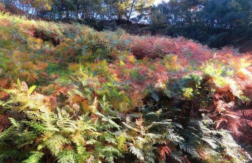 Casa Turismo Rural O FILANDÓN - Photo 26