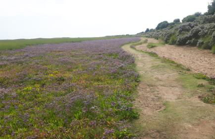 Coastal Annex at Saltfleet - Foto 31