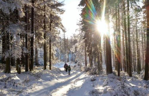 Harzhaus Ida - Foto 30