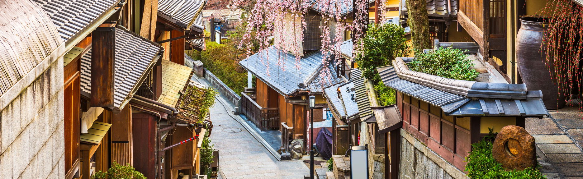 Kyoto Private Walking Tour