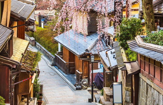 Tour privado por Kyoto - Foto 1