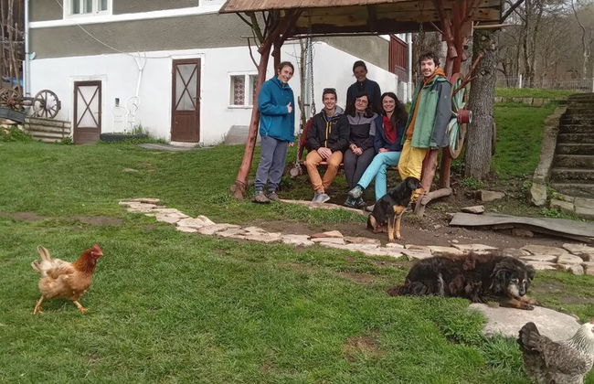 Room in Guest Room - Idylic Family Sejour With Hottube in Green Land - Foto 37