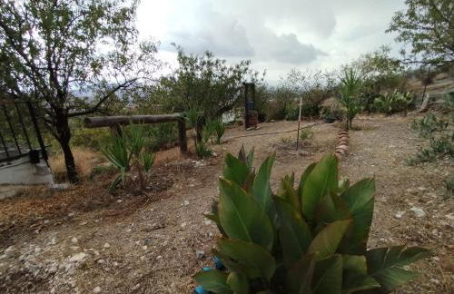 Loma Negra - Photo 68