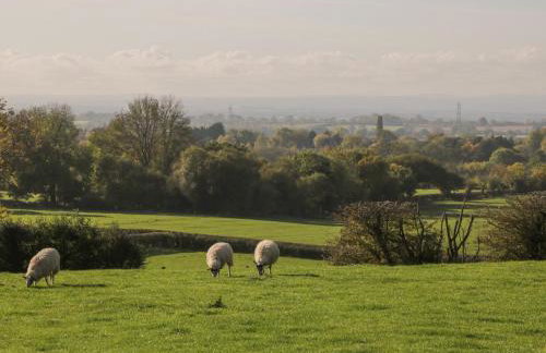 Gormire Cottage - Foto 20