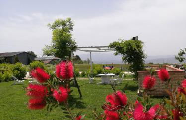 Masseria Fontana dei Fieri - Foto 79