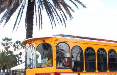 Beach Condo - Photo 73