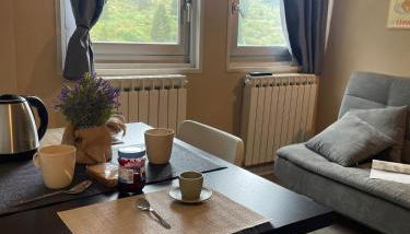 Ski Apartment - Foto 2