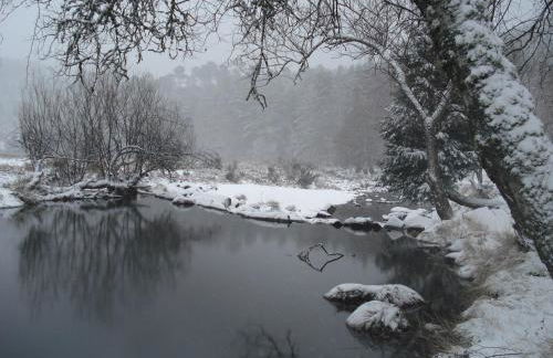 Casa de Manteigas - Foto 44