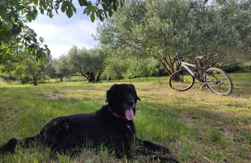 Holiday House Mablo with pool & jacuzzi - Photo 26