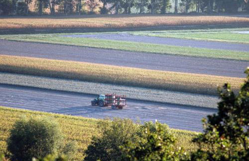 Rozéliande - Foto 47