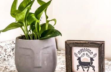 Wildland Loft Serene Mountain Retreat w Fireplace AC Fire Pit Hammock Outdoor Lounge Area Record Player Pets OK - Foto 18