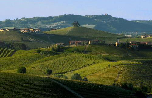 Agricola Domus - Photo 35