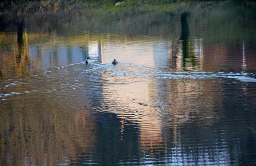 AU BORD DE L'EAU studio 1 - Photo 13