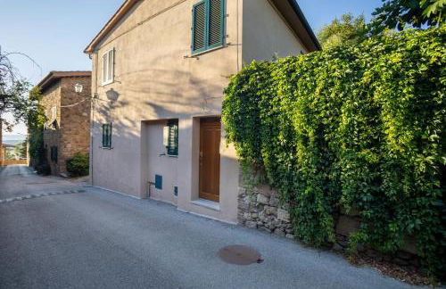 L' Antica Oliviera D'Orcia - Foto 1