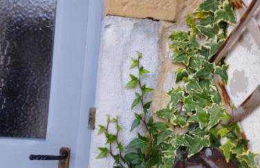 Au charmant chablis - Foto 18