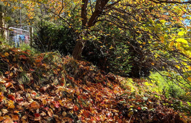 Mountain Blue Guest Accommodation - Foto 25