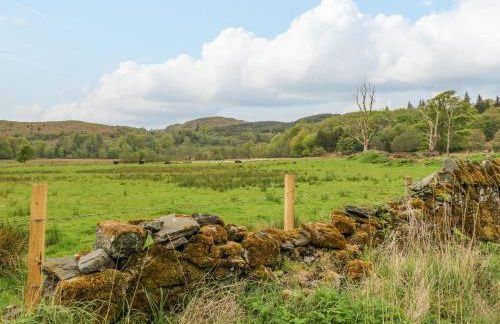 Seaview-Barsloisnach Cottage - Foto 60