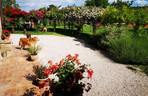 River Melody - Foto 37